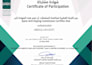 build, modify and optimize crystal reports